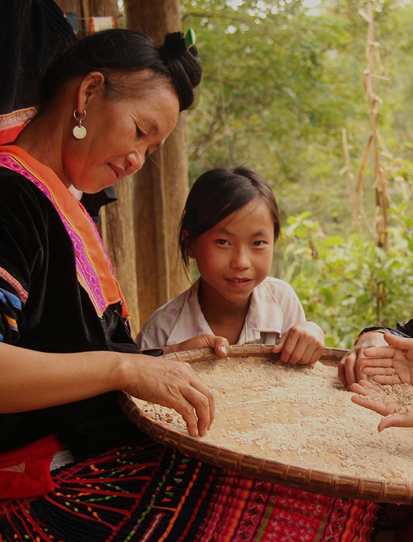 Bình đẳng Giới, Khuyết tật và Hòa nhập Xã hội