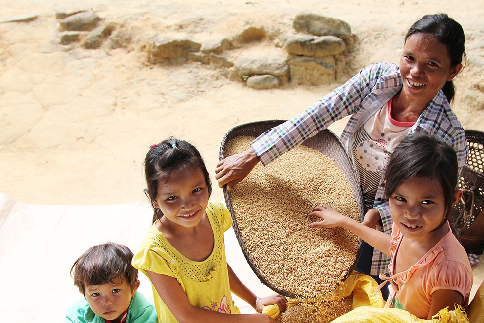 Technical Programmes