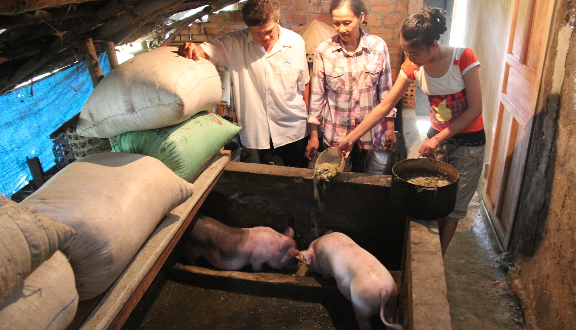 Local Value Chain Development