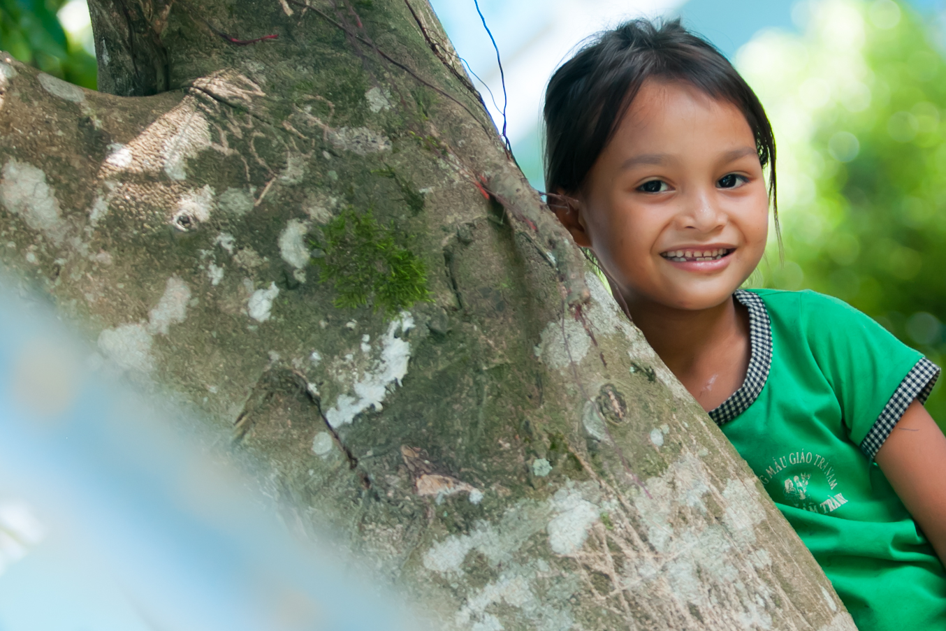 NOTICE ON THE COLLECTION AND USE OF CREDIT INFORMATION