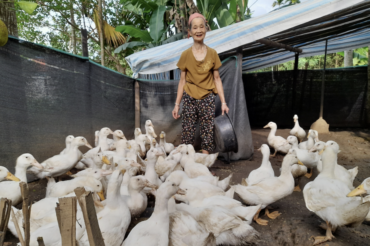 Value Chain-Based Livestock Towards a Better Future