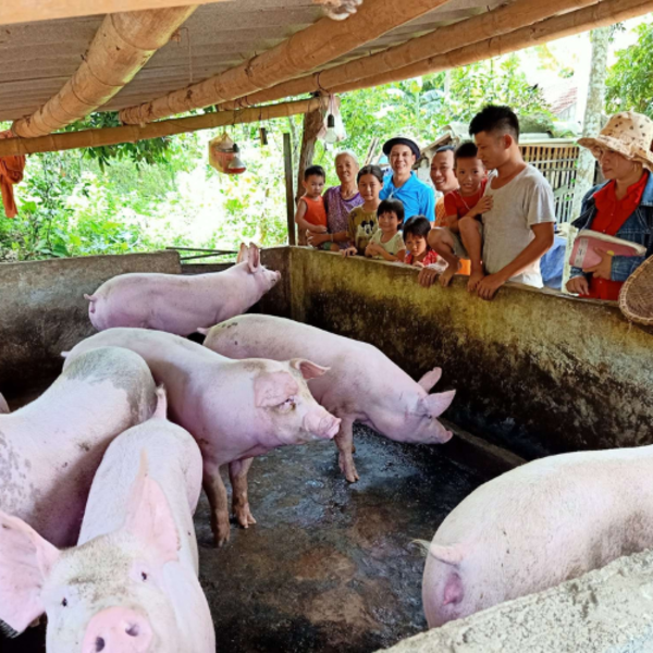 Improve Well-Being from New Breeding Methods