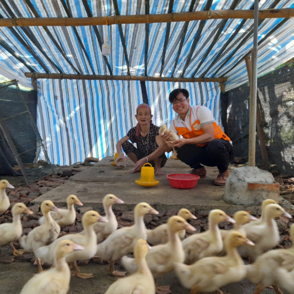 Value Chain-Based Livestock Towards a Better Future