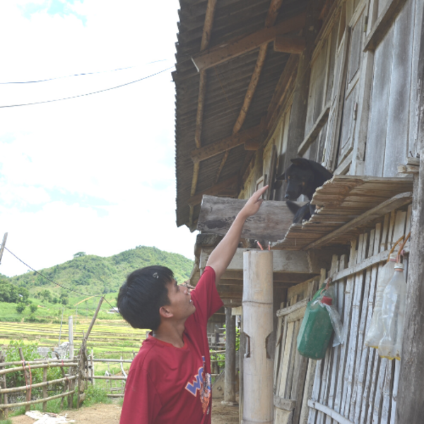 Bước nhỏ làm nên đường dài: “Nếu không đỗ năm nay, em sẽ quyết tâm thi lại năm sau”