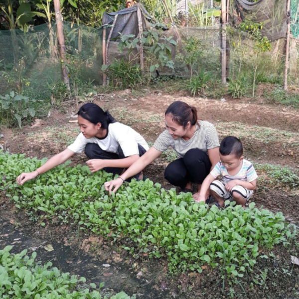 “Từ giờ, mẹ không còn phải lo nghĩ thức ăn cho cả nhà nữa rồi.”