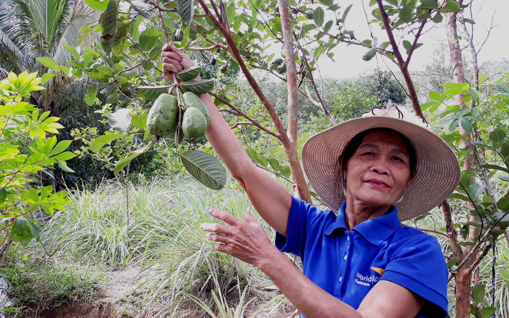 Enhance Resilience to Climate Change  Through Communal Efforts