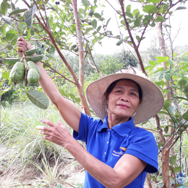 Enhance Resilience to Climate Change  Through Communal Efforts