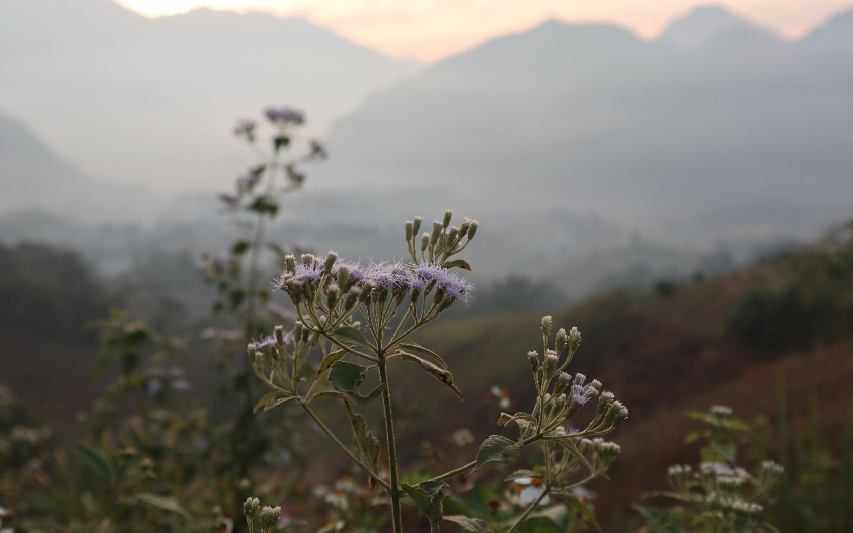 “Dù anh có giữ em ở đây, em cũng sẽ trốn về với các con em thôi”