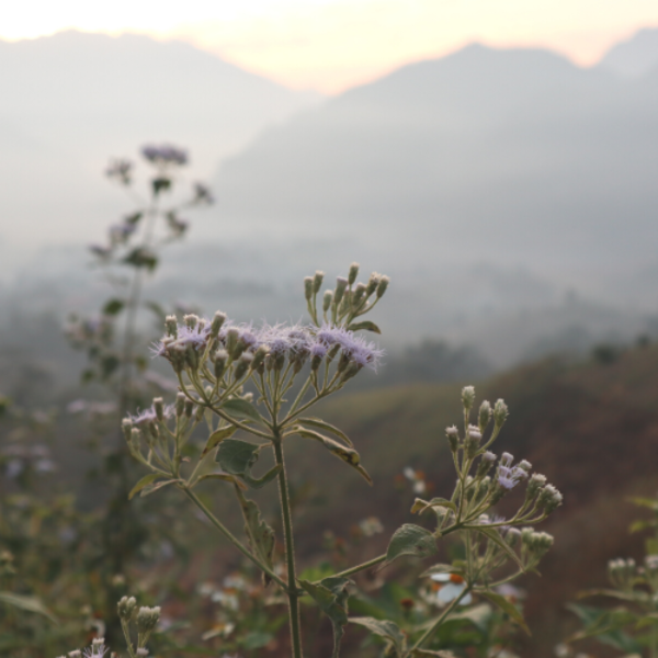 “Dù anh có giữ em ở đây, em cũng sẽ trốn về với các con em thôi”