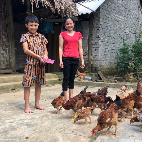 Chăn nuôi theo chuỗi giá trị tạo chuyển biến tích cực