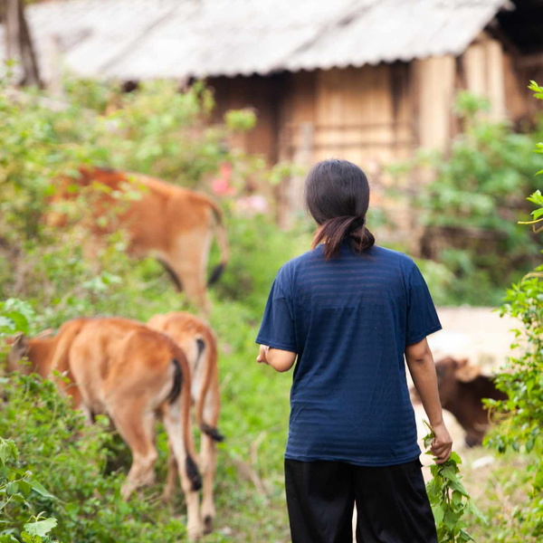 Những người trở về